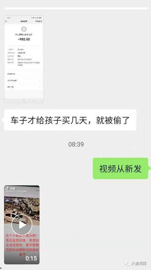 我家熊孩子爆料视频播放,视频播放背后的趣味瞬间
